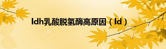 ldh乳酸脱氢酶高原因（ld）