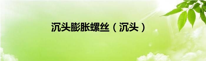沉头膨胀螺丝（沉头）