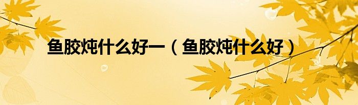 鱼胶炖什么好一（鱼胶炖什么好）