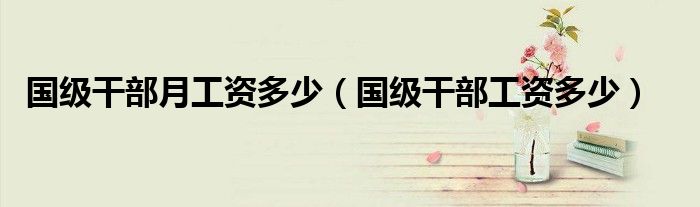 国级干部月工资多少（国级干部工资多少）
