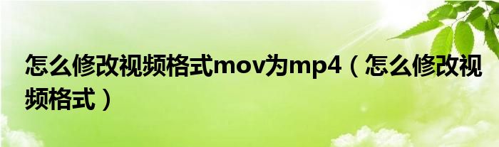 怎么修改视频格式mov为mp4（怎么修改视频格式）