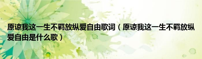 原谅我这一生不羁放纵爱自由歌词（原谅我这一生不羁放纵爱自由是什么歌）