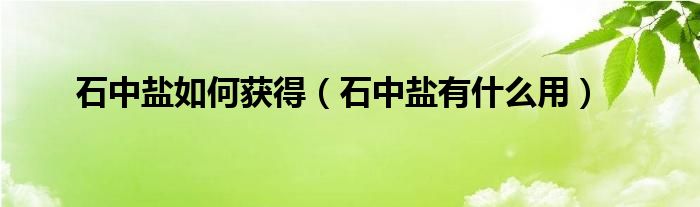 石中盐如何获得（石中盐有什么用）