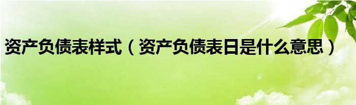 资产负债表样式（资产负债表日是什么意思）