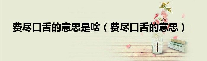 费尽口舌的意思是啥（费尽口舌的意思）