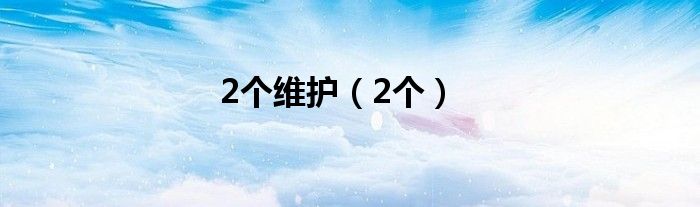 2个维护（2个）