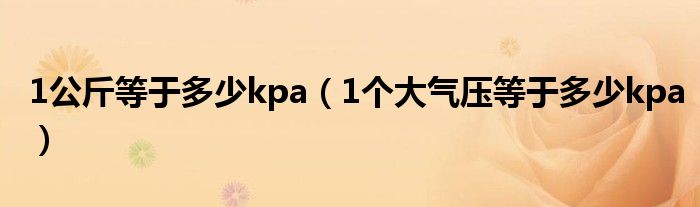 1公斤等于多少kpa（1个大气压等于多少kpa）