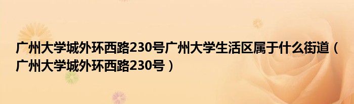 广州大学城外环西路230号广州大学生活区属于什么街道（广州大学城外环西路230号）
