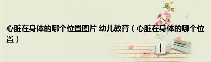 心脏在身体的哪个位置图片 幼儿教育（心脏在身体的哪个位置）