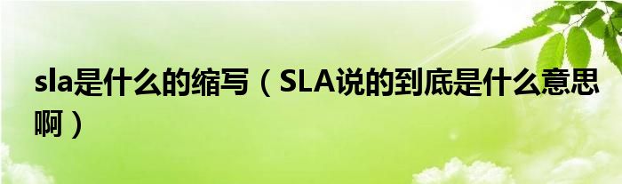 sla是什么的缩写（SLA说的到底是什么意思啊）