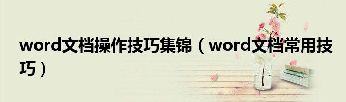 word文档操作技巧集锦（word文档常用技巧）