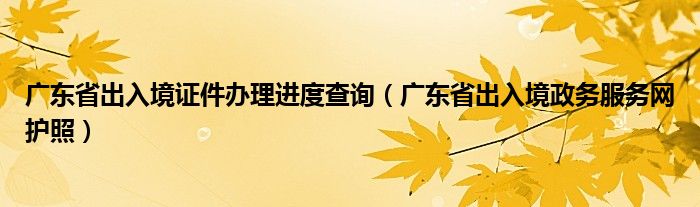 广东省出入境证件办理进度查询（广东省出入境政务服务网护照）