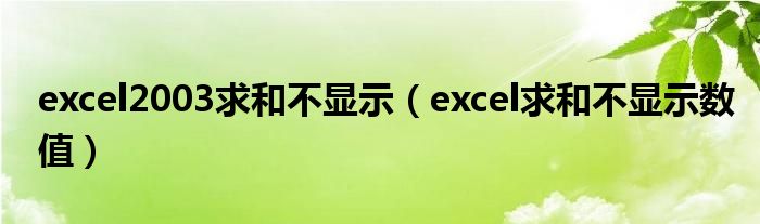 excel2003求和不显示（excel求和不显示数值）