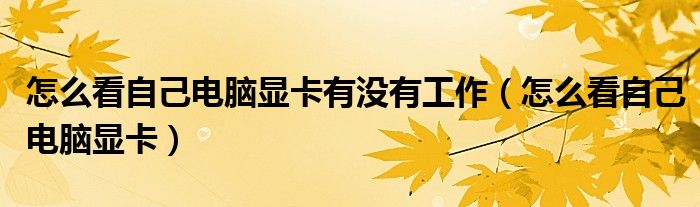 怎么看自己电脑显卡有没有工作（怎么看自己电脑显卡）