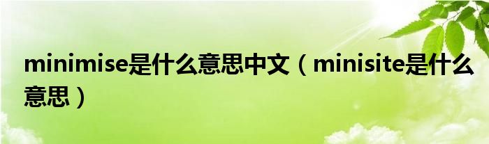 minimise是什么意思中文（minisite是什么意思）