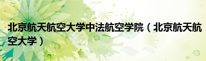 北京航天航空大学中法航空学院（北京航天航空大学）