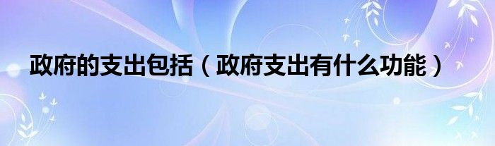 政府的支出包括（政府支出有什么功能）