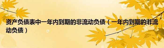 资产负债表中一年内到期的非流动负债（一年内到期的非流动负债）