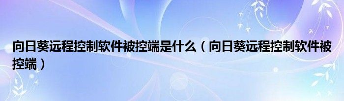 向日葵远程控制软件被控端是什么（向日葵远程控制软件被控端）