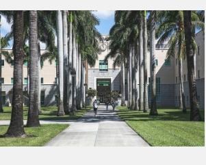 佛罗里达大西洋大学研究人员获得资助用于个性化癌症放射治疗