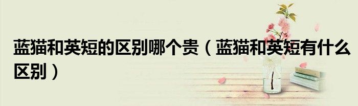 蓝猫和英短的区别哪个贵（蓝猫和英短有什么区别）