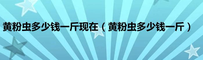 黄粉虫多少钱一斤现在（黄粉虫多少钱一斤）