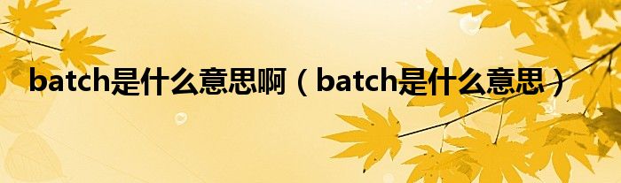 batch是什么意思啊（batch是什么意思）