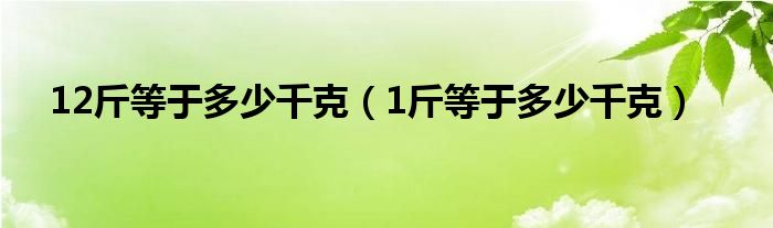 12斤等于多少千克（1斤等于多少千克）
