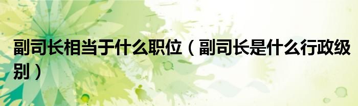 副司长相当于什么职位（副司长是什么行政级别）