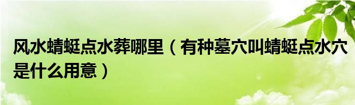 风水蜻蜓点水葬哪里（有种墓穴叫蜻蜓点水穴是什么用意）