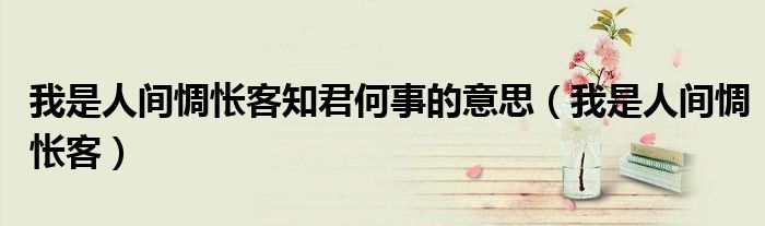 我是人间惆怅客知君何事的意思（我是人间惆怅客）