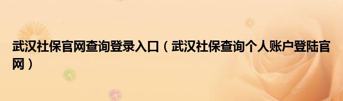 武汉社保官网查询登录入口（武汉社保查询个人账户登陆官网）