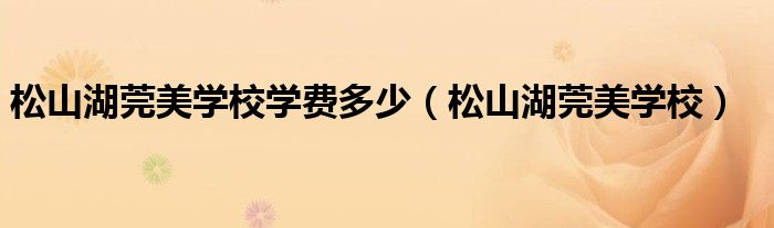 松山湖莞美学校学费多少（松山湖莞美学校）