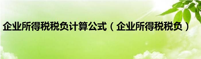 企业所得税税负计算公式（企业所得税税负）