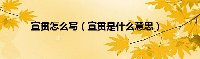 宣贯怎么写（宣贯是什么意思）