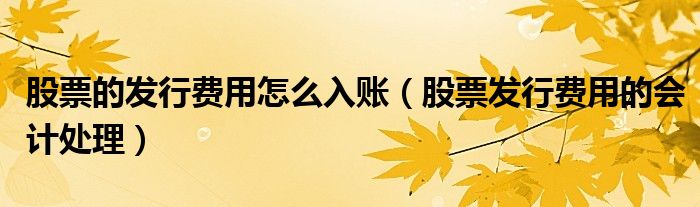股票的发行费用怎么入账（股票发行费用的会计处理）