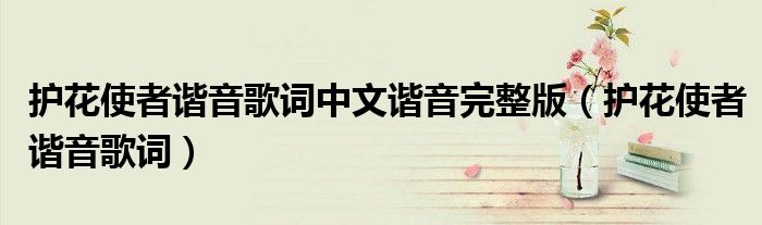 护花使者谐音歌词中文谐音完整版（护花使者谐音歌词）