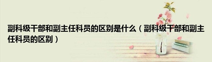 副科级干部和副主任科员的区别是什么（副科级干部和副主任科员的区别）