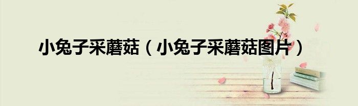 小兔子采蘑菇（小兔子采蘑菇图片）
