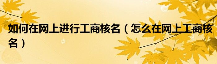 如何在网上进行工商核名（怎么在网上工商核名）