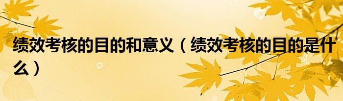 绩效考核的目的和意义（绩效考核的目的是什么）