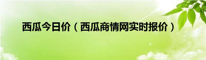 西瓜今日价（西瓜商情网实时报价）