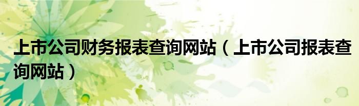 上市公司财务报表查询网站（上市公司报表查询网站）