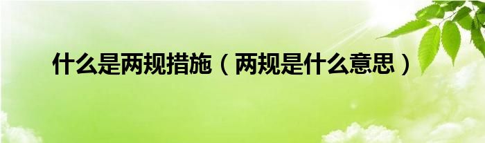 什么是两规措施（两规是什么意思）