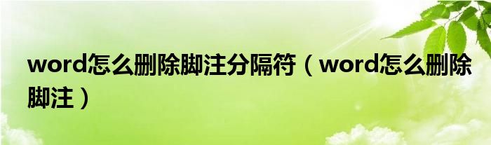 word怎么删除脚注分隔符（word怎么删除脚注）