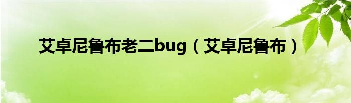 艾卓尼鲁布老二bug（艾卓尼鲁布）