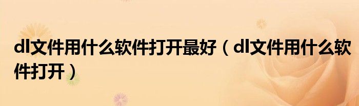 dl文件用什么软件打开最好（dl文件用什么软件打开）