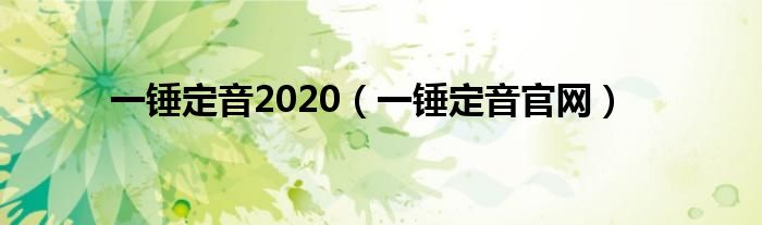 一锤定音2020（一锤定音官网）