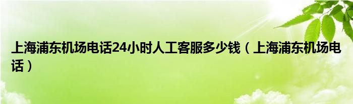 上海浦东机场电话24小时人工客服多少钱（上海浦东机场电话）