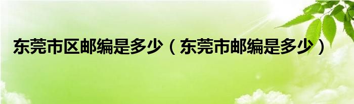 东莞市区邮编是多少（东莞市邮编是多少）